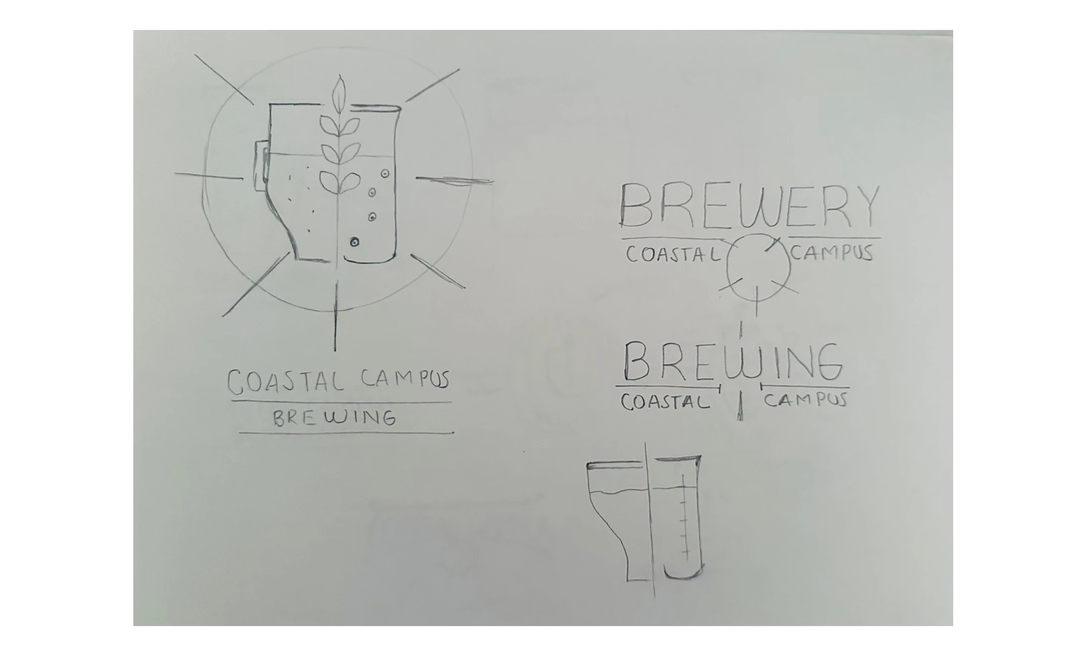 Branding & Packaging — Coastal Campus Brewing thumbnail 2